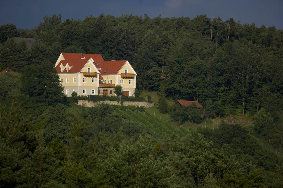 Apartament Winzerhaus Friedrich Kaindorf  Zewnętrze zdjęcie